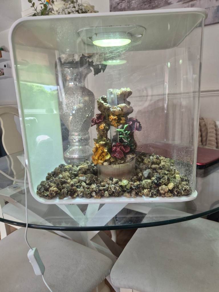 Bio orb