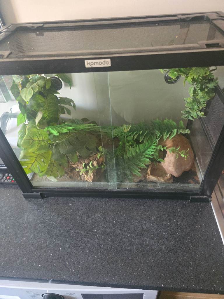 Komodo Vivarium 