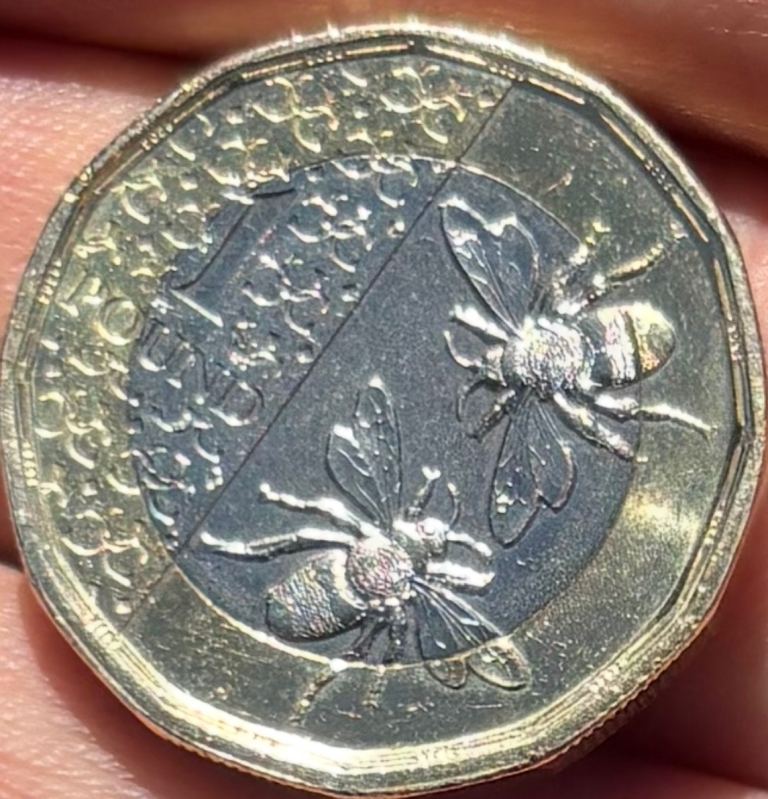 2025 King Charles III Bee Design Coin – Collectable