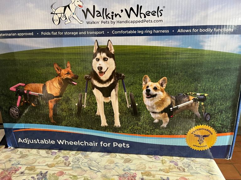 Medium sized Walking Wheels for dogs