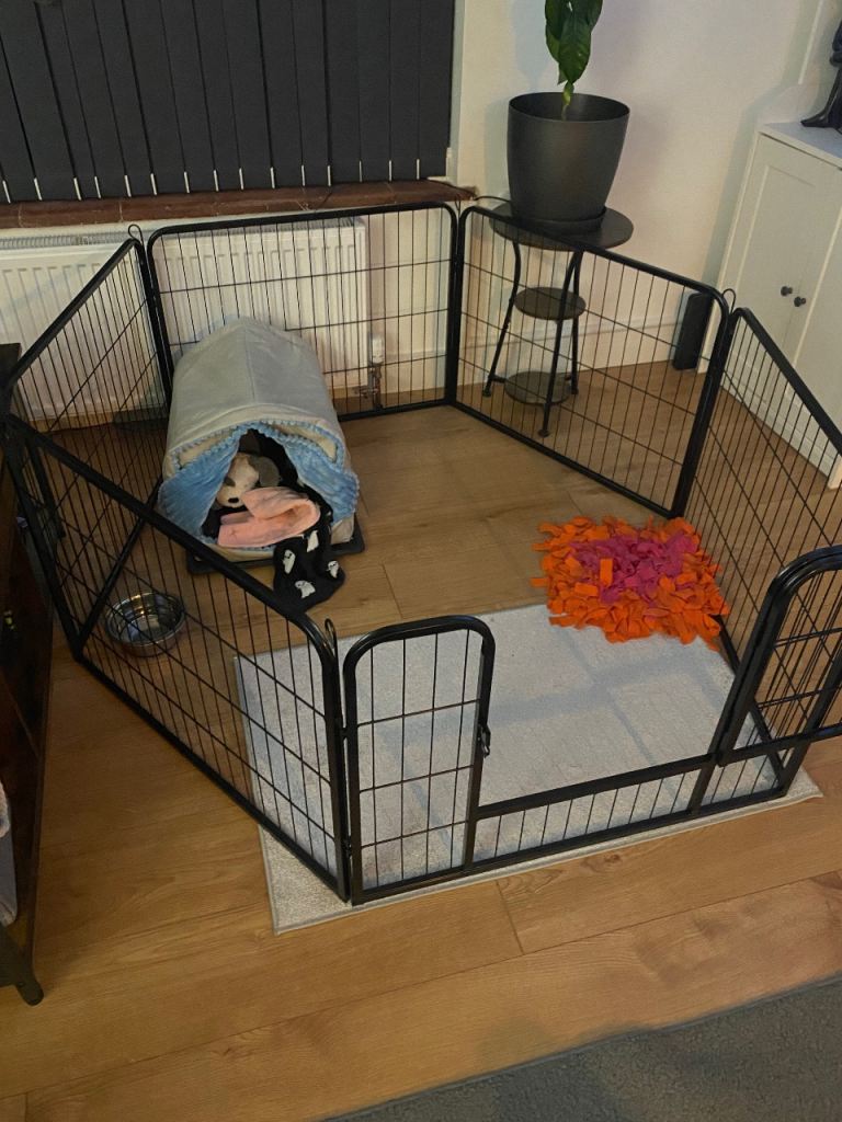Dog puppy pen - 6 panels, 60cm high
