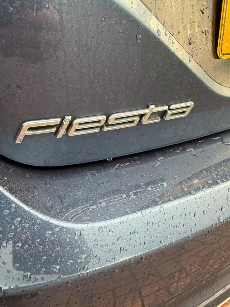 2019 Ford Fiesta 1.0T EcoBoost Active X Euro 6 (s/s) 5dr HATCHBACK Petrol Manual