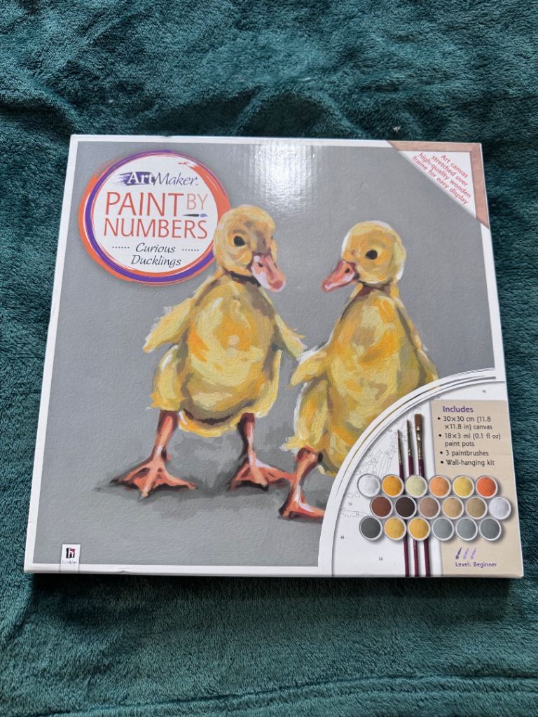 Duck paint by numbers 