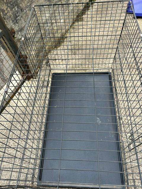 Used Large Dog crate 122cm x 73 cm  80cm  tall