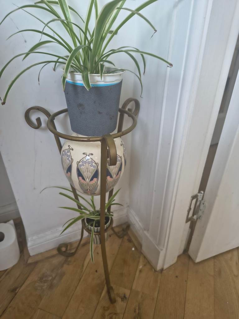 House Plants