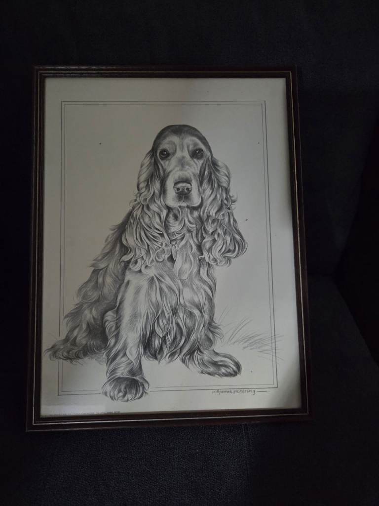 Pollyanna Pickering Framed Cocker Spaniel Print – Good Condition
