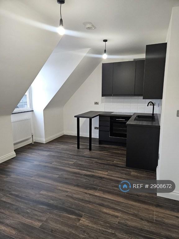 1 bedroom flat in Marefair, Northampton, NN1 (1 bed) (#2908672)