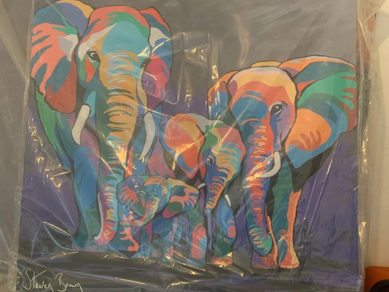 Steven Brown Allan and Jackie McZoo large  canvass print