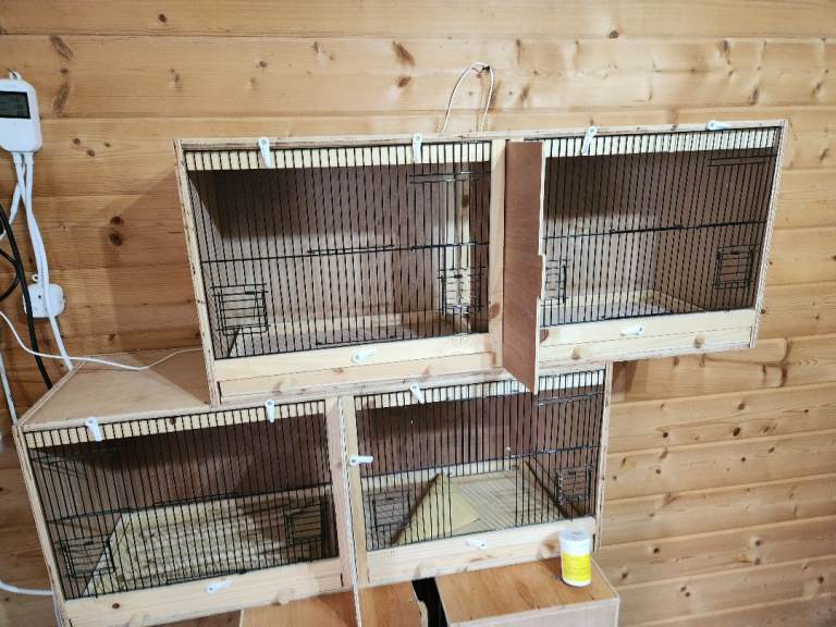 2 Professional Bird Breeding Boxes & 2 Double Breeding Cages – Excellent Condition
