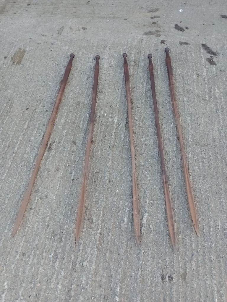 5 buckrack prongs 