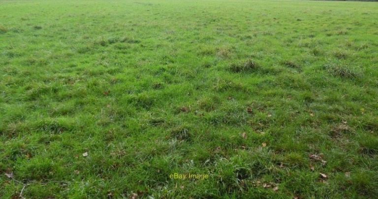 Wanted land to Rent 