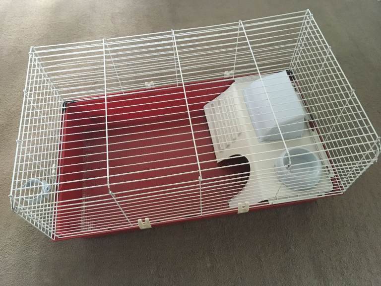 Guinea Pig Cage