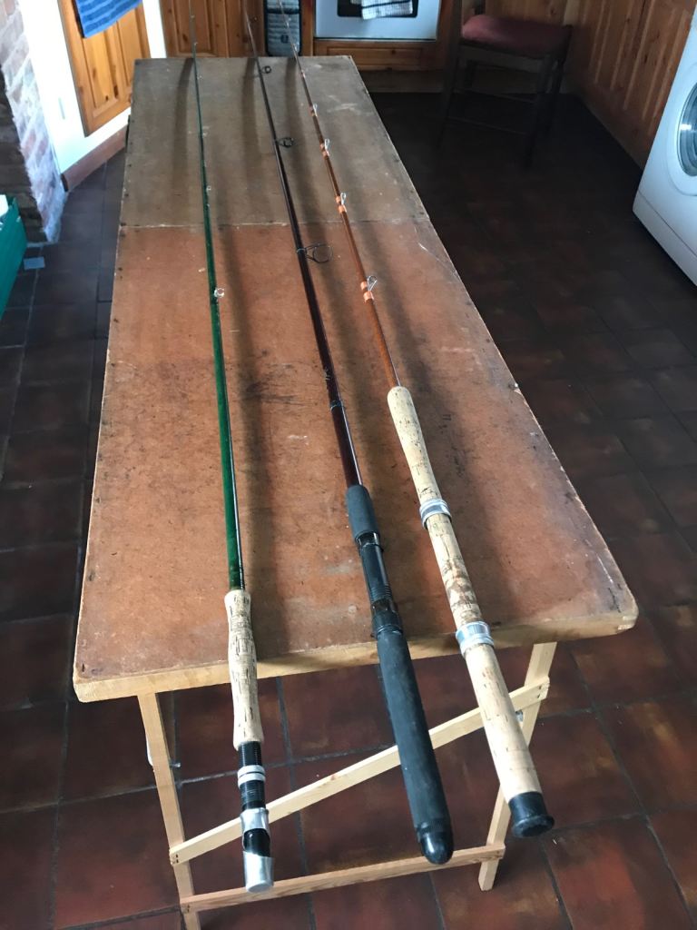 2 fishing rods 1course 1 fly fishing 