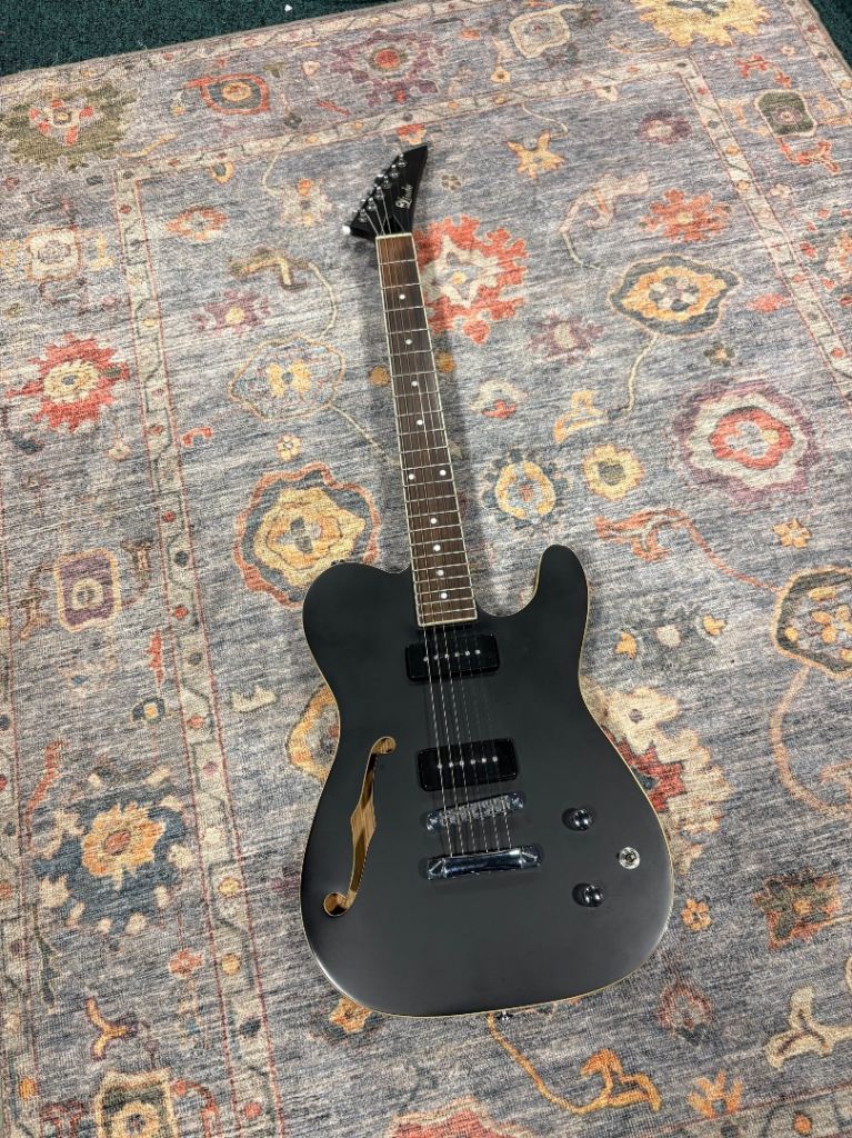 Lindo Dark Defender Guitar 