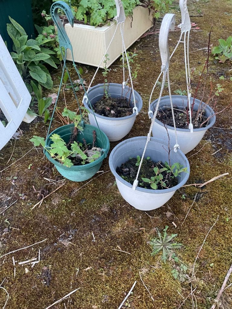 FREE Hanging garden plant pots baskets
