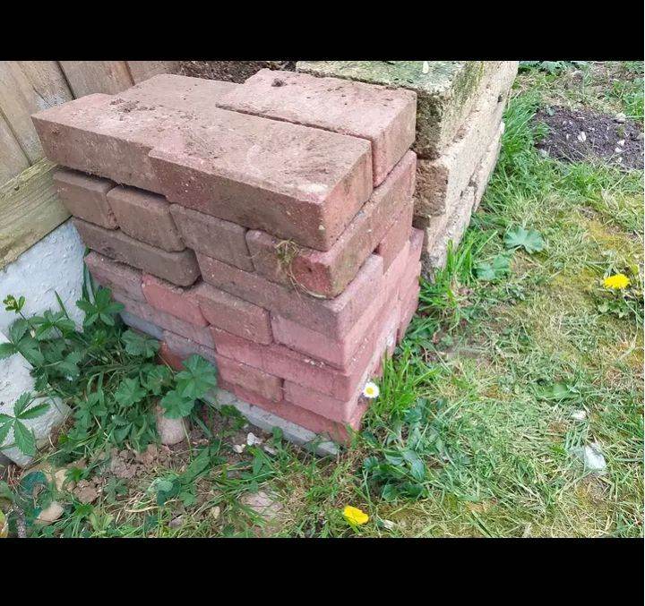 50 brick. 8 concrete blocks FREE