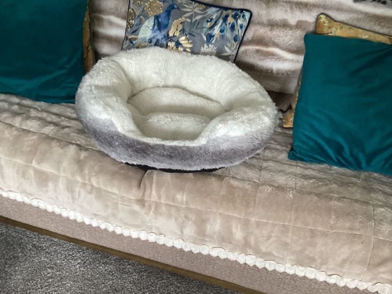 Dog bed 