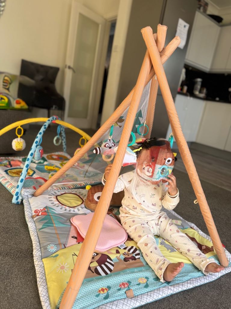 Baby activity gym