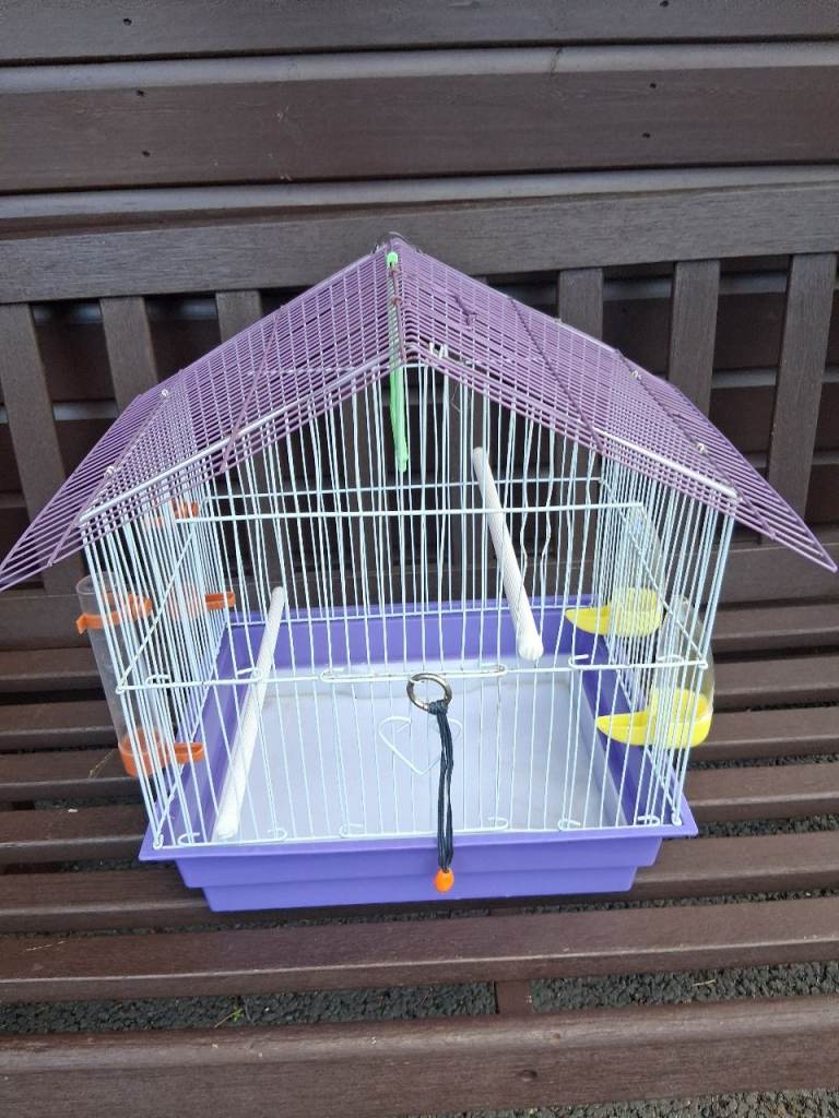 Bird cadge for sale. 