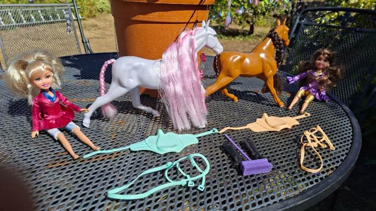 Dolls and Horses Toy Set – Good Condition
