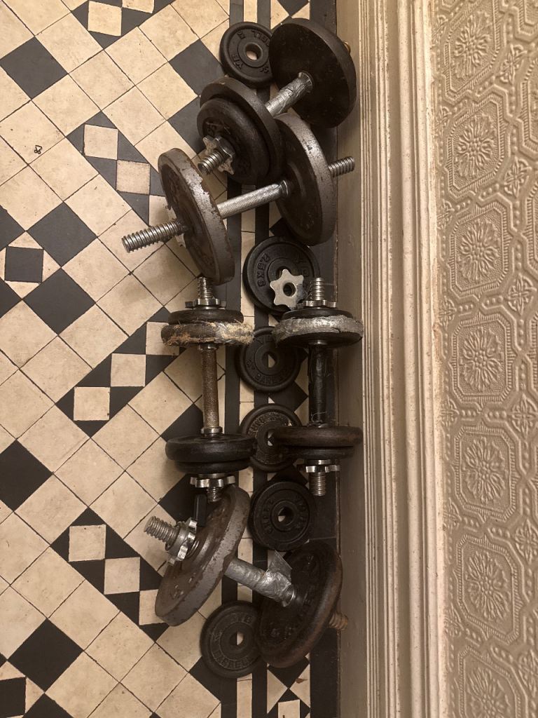 Assorted dumbbells and weight plates
