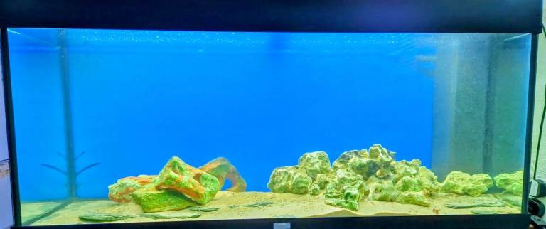 JUWEL RIO 240. Aquarium and Cabinet. Black. Original working light, and accessories. 