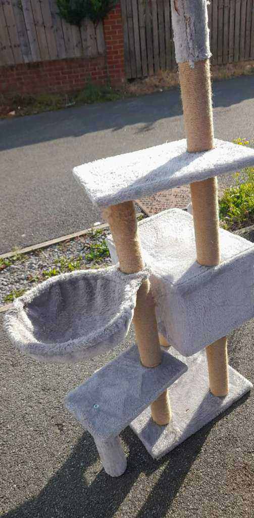 CAT TREE - USED - new condition - LOCAL DELIVERY IS INCLUDED