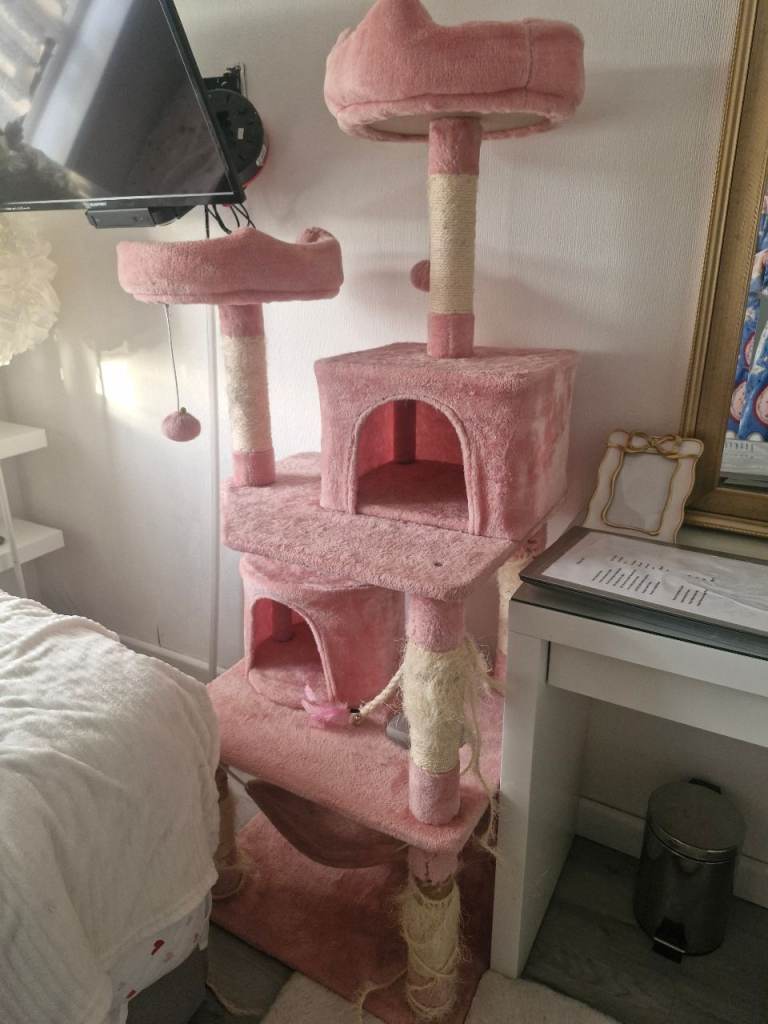 Cat stand