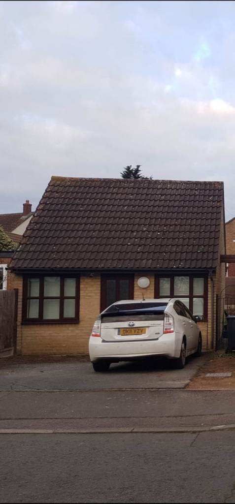 Studio flat for rent