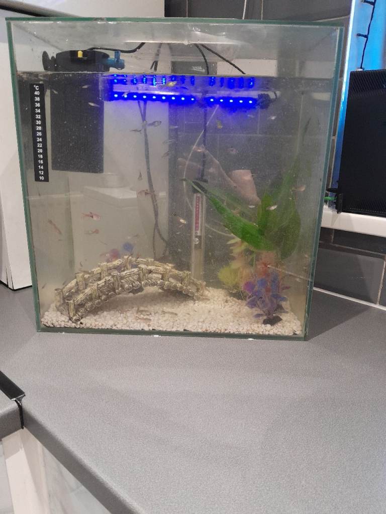 image for CUBE FISH TANK (FULL SETUP)