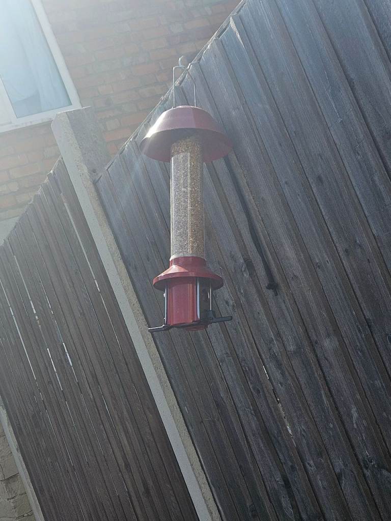 Red feede pot for birds