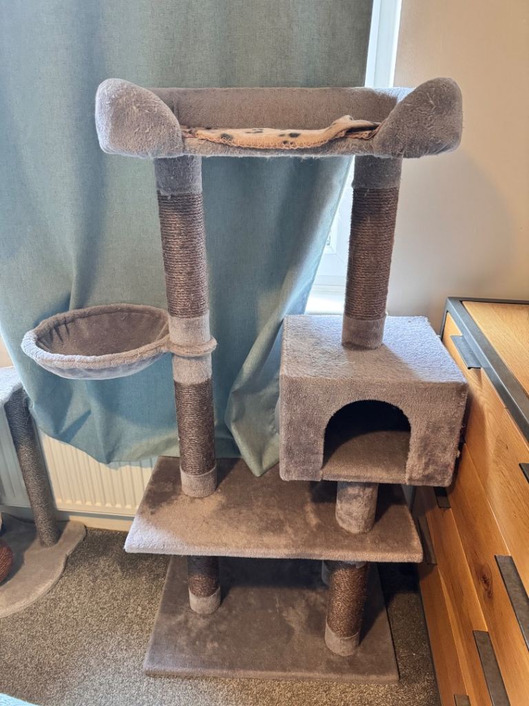 Free Cat Tree - Pick up only