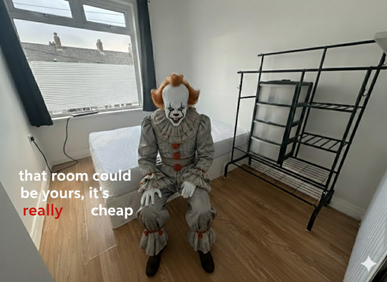 Small double - with or without Pennywise 小双人间，租金极低