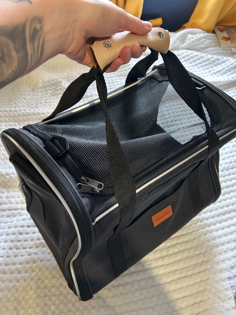Small pet carrier 