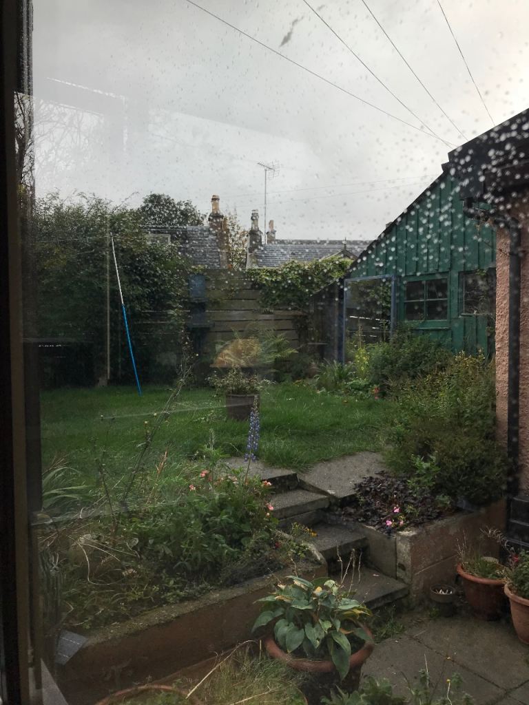 Good area city Center quiet clean warm respectful working house all major bills included