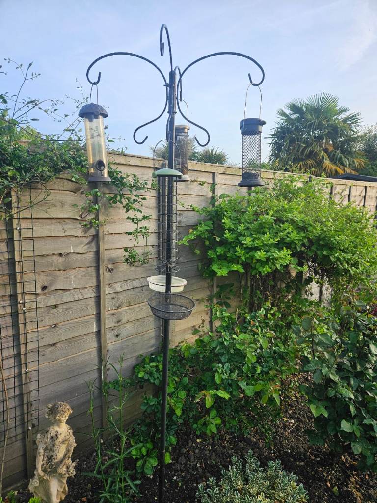 Bird Feeder and seed containers