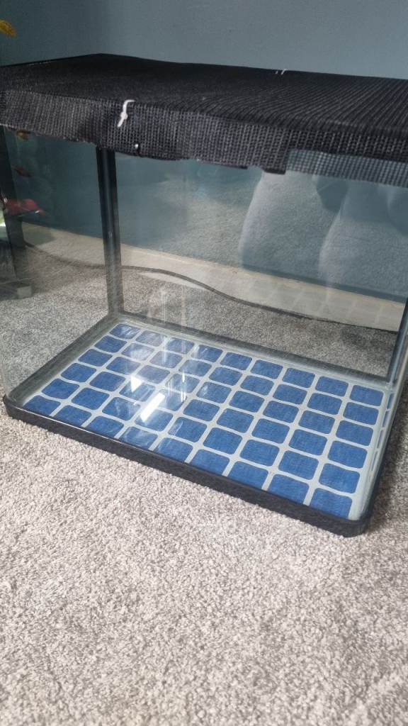 Small Glass Pet Tank with Mesh Lid - Ideal for Reptiles or Invertebrates