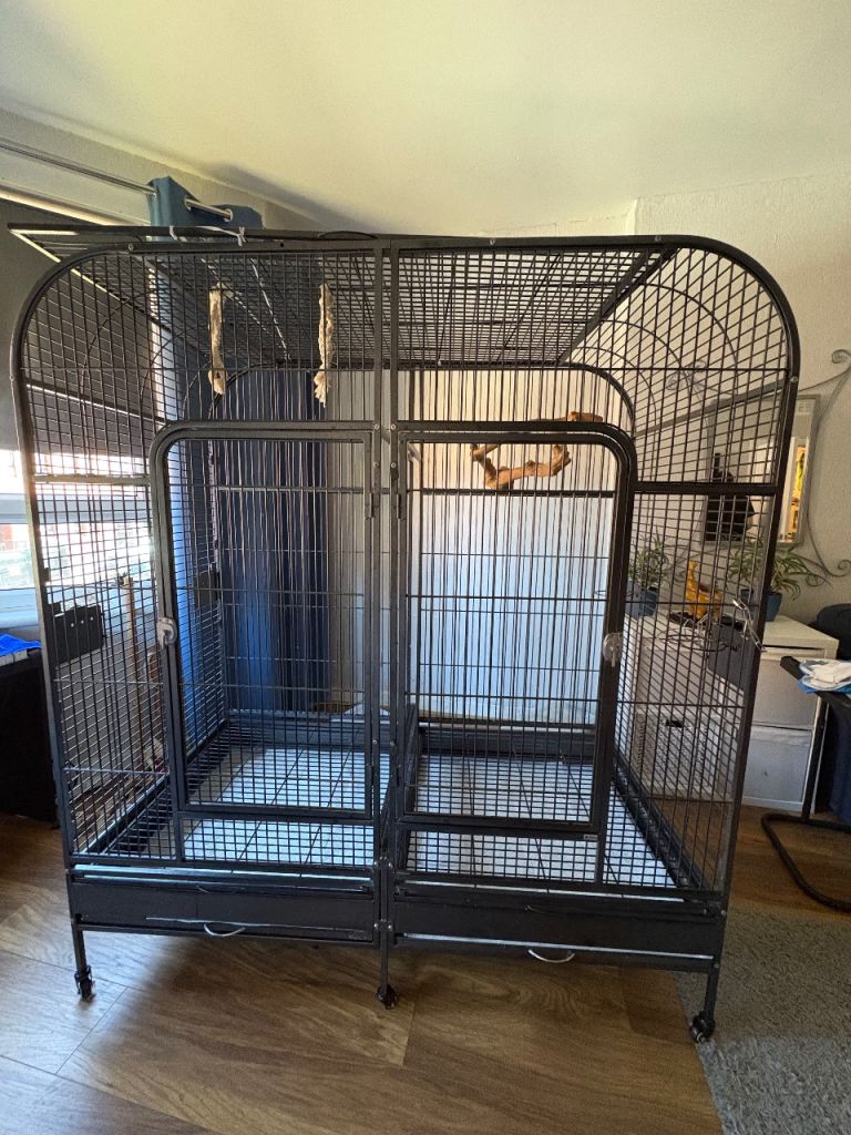 Parrots cage
