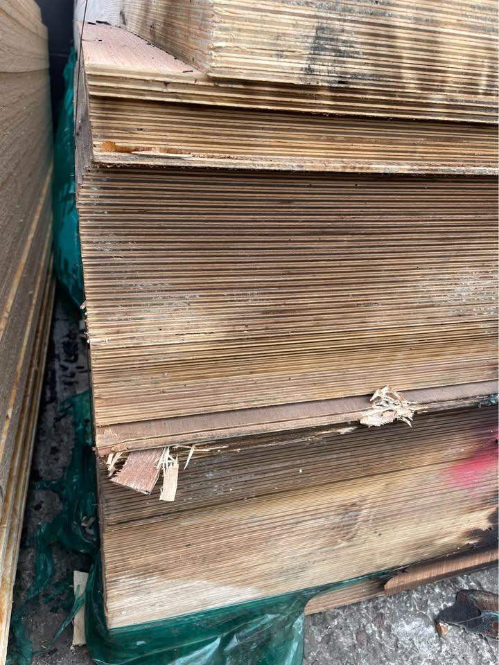 5.5mm Hardwood Plywood