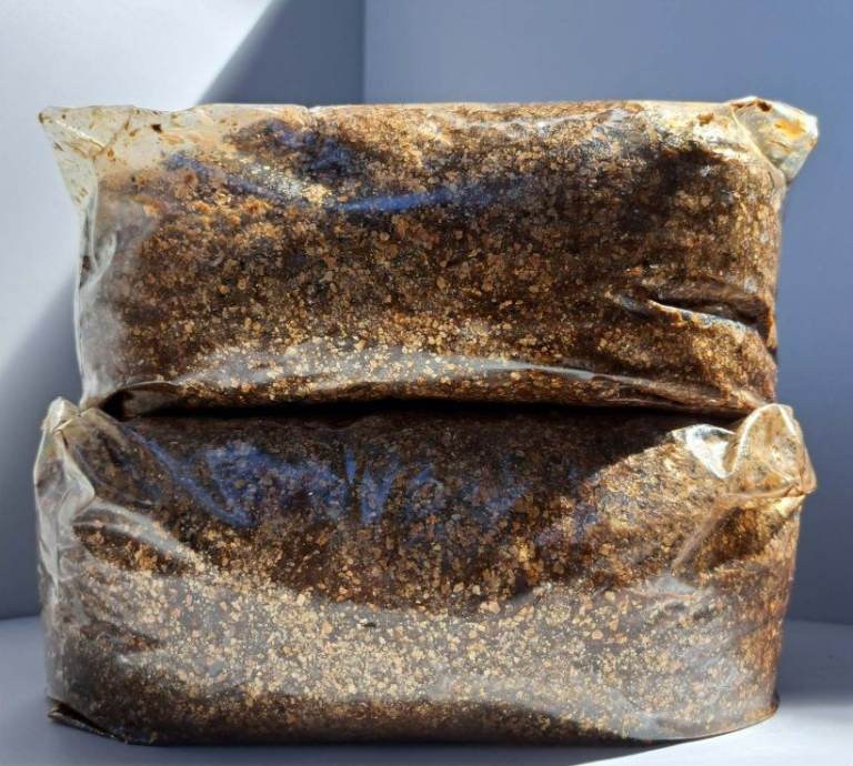 Horse Premium Aged Manure – No Fillers, Just Pure Garden Boost! Garden-Ready