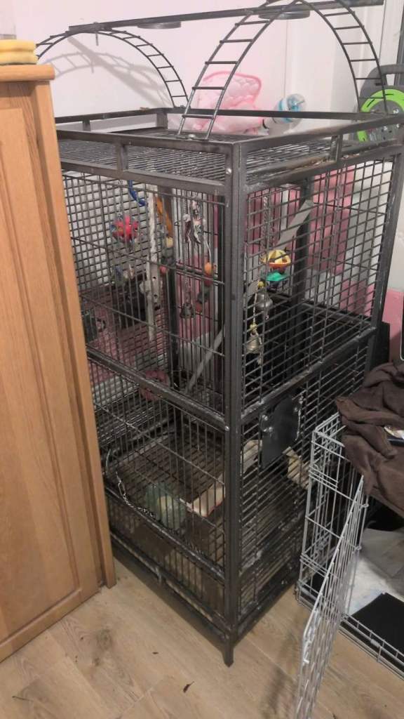 Parrot cage 