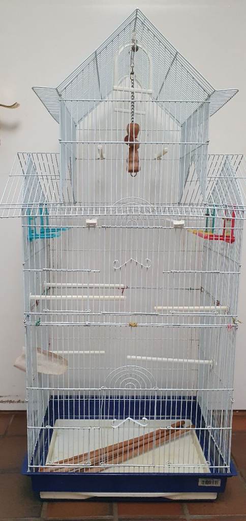Birds cage