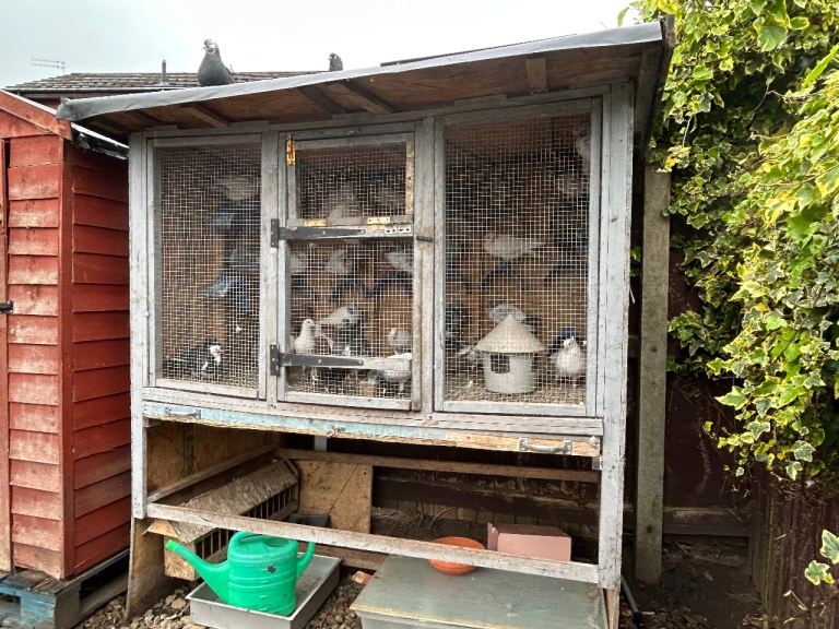 6x3 pigeon kitbox 