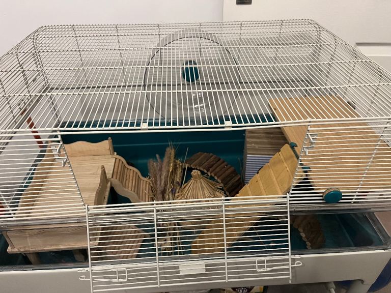 Complete Hamster Set Up
