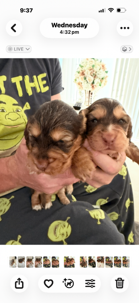5 weeks old