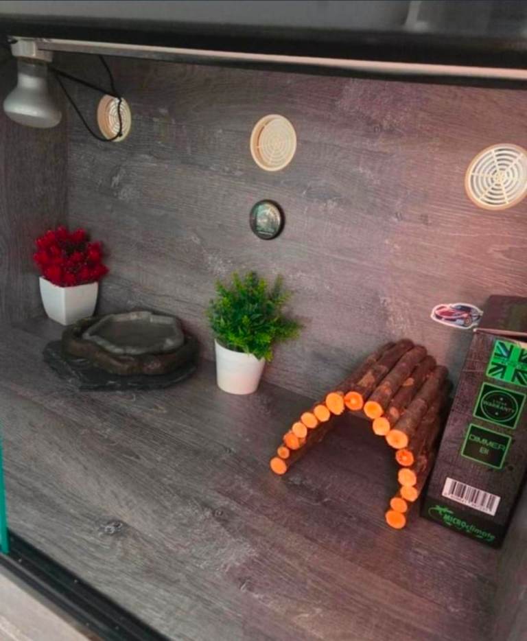 Vivarium Wood Grey ClearSeal