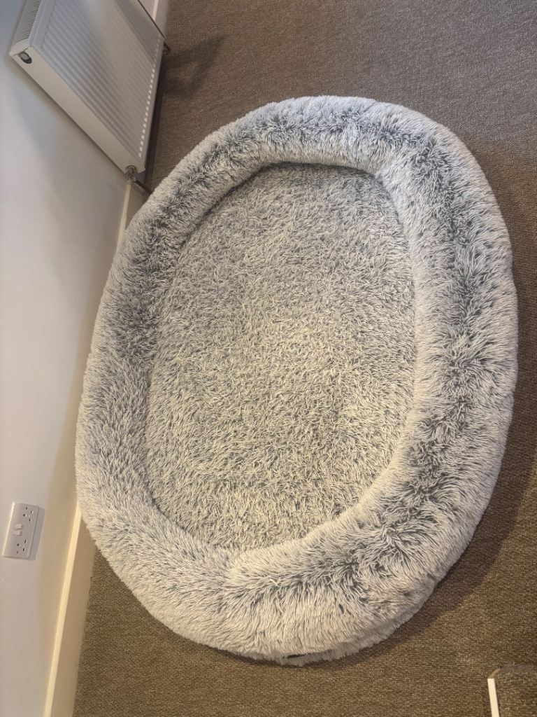 Human dog bed 