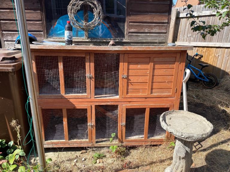 Large double hutch rabbit Guinea pig