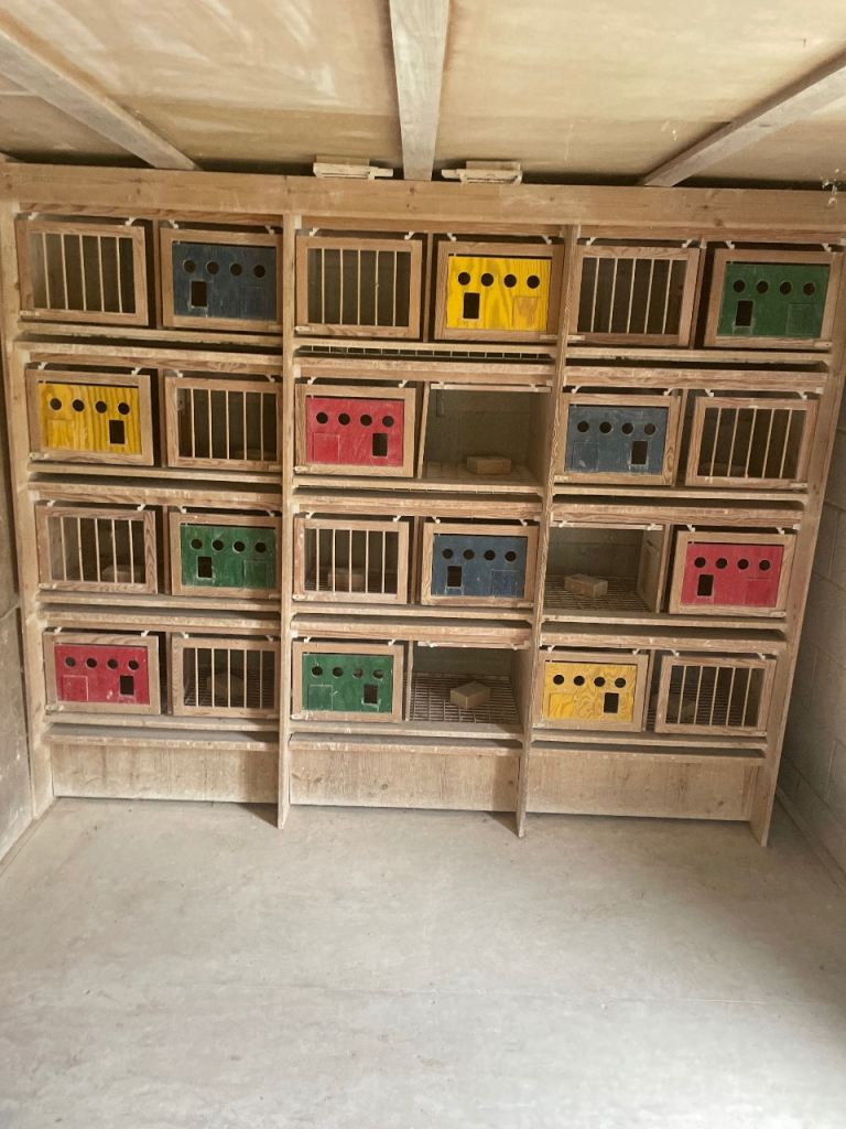 Hermes widowhood pigeon boxes