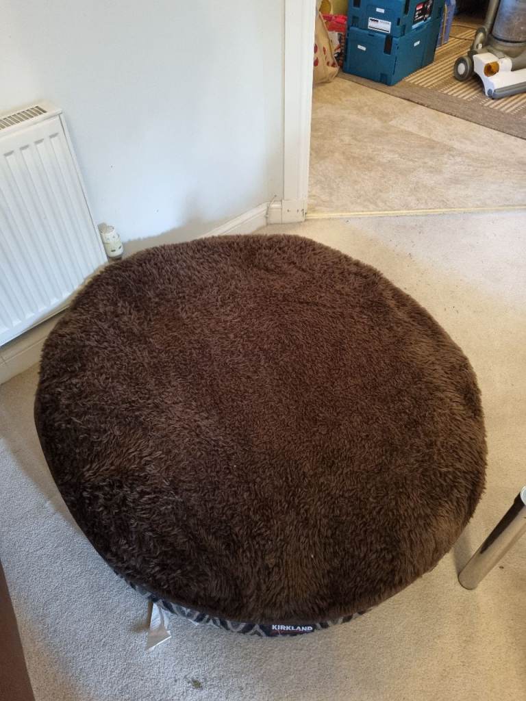 Zip dog bed perfect for keeping it clean